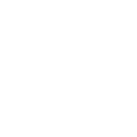 Full IT Infrastructure Analysis
