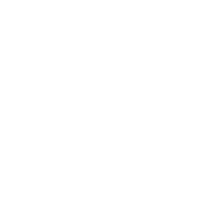 Proactive System Monitoring Services